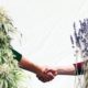 les avantages des plantes daccompagnement pour le cannabis, Weedstockers