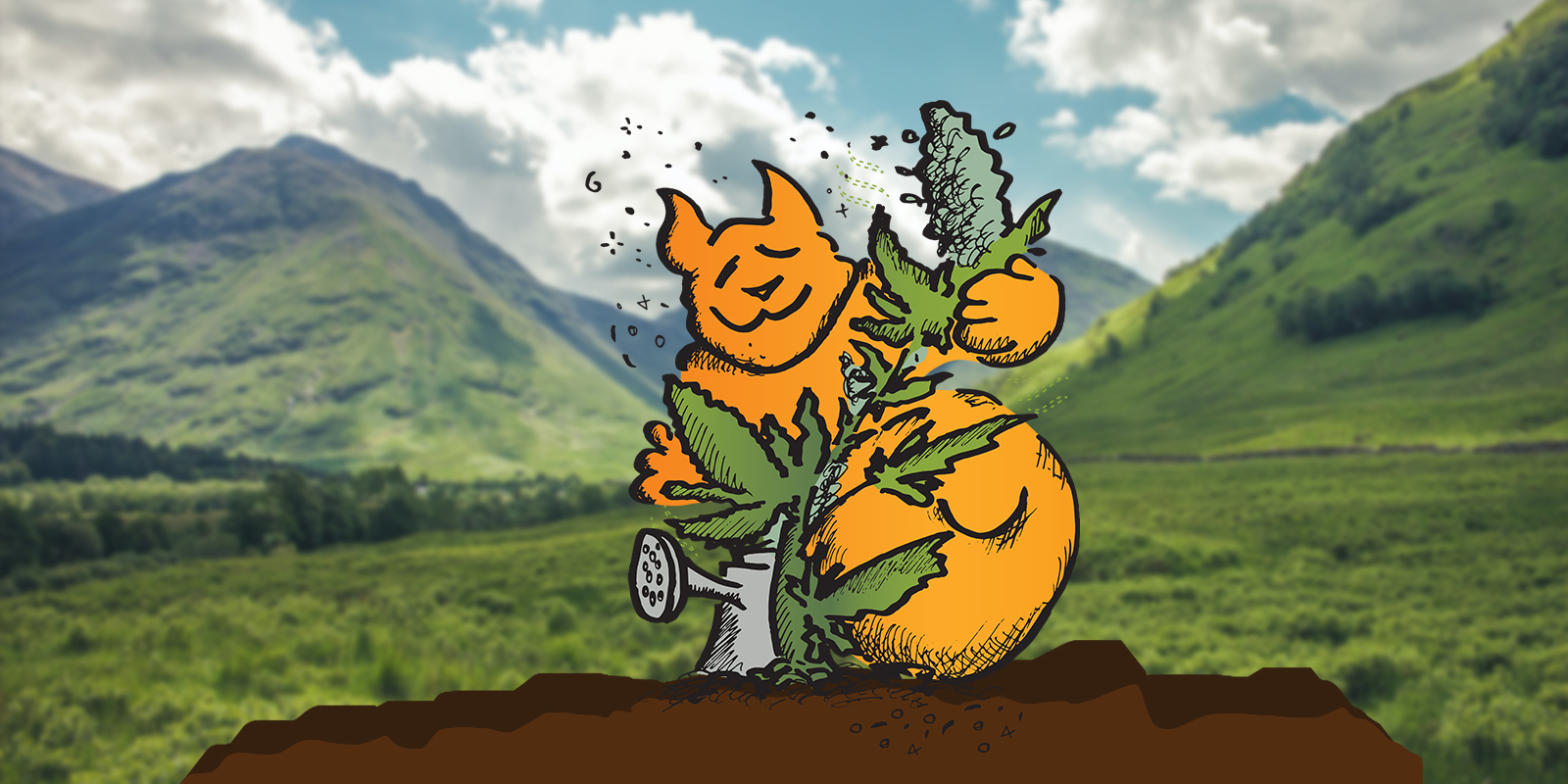 Comment arroser les plantes de cannabis, Weedstockers